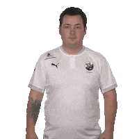 Sv Sandhausen No Sticker by Bundesliga