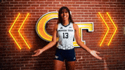 Georgia Tech Volleyball GIF by Georgia Tech Yellow Jackets