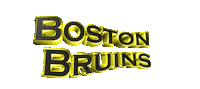 Ice Hockey Sport Sticker by GIPHY Text