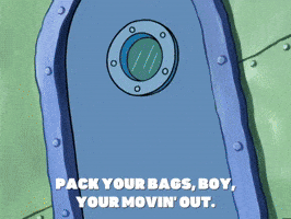 season 5 new digs GIF by SpongeBob SquarePants