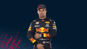 Red Bull Sport GIF by Red Bull Racing Honda