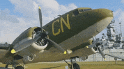alabama GIF