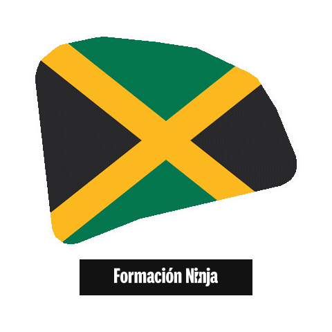 Flag Bandera Sticker by Formación Ninja