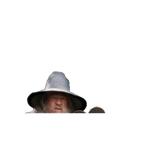 DEBUFFEL lotr bvb gandalf hobbit Sticker