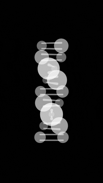 skyex giphyupload loop after effects monochrome GIF