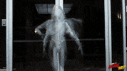 Ant Man And The Wasp Ghost GIF by Marvel Studios