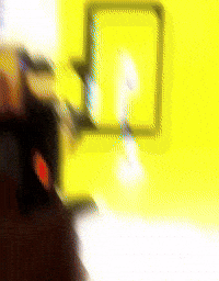 Proc GIF