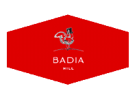 Dolomites Altabadia Sticker by BadiaHill