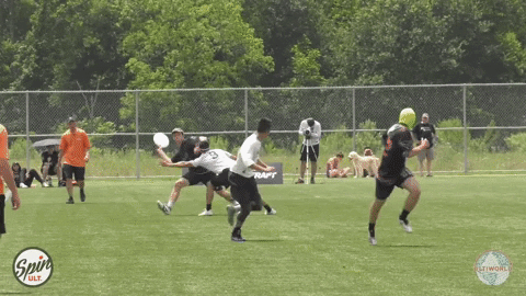 flikulti ultimate frisbee flik GIF
