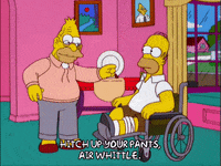 homer simpson episode 20 GIF
