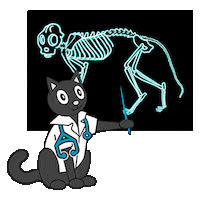 onlinemeded cat doctor nurse medical Sticker