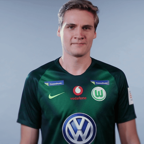fifa 18 football GIF by VfL Wolfsburg
