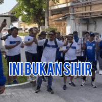 Viking Persib GIF