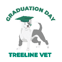 Dogs Puppy Sticker by Treeline Vet