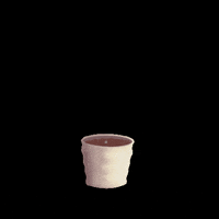 Jucasaarts flower flowers daisy flowerpot GIF