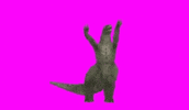 Dance Dancing GIF
