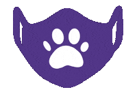 Washington Huskies Seattle Sticker by UWHFS