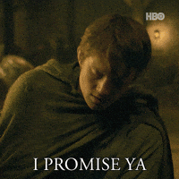 I Promise A Knight Of The Seven Kingdoms GIF by Game of Thrones