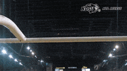 north dakota state bison GIF by NDSU Athletics