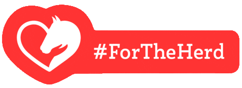 Fundraiser Sticker by 42 North