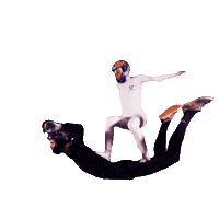 Fun Flying Sticker by Flyspot - make it happen!