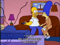 homer simpson GIF