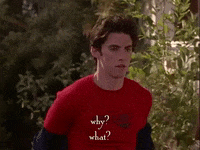 season 2 netflix GIF by Gilmore Girls 