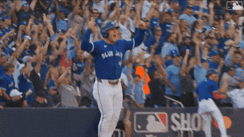Blue Jays Canada GIF by Toronto Blue Jays