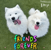 Friends Smiling GIF