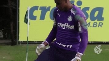 Palmeiras palmeiras beijo bola pantera GIF