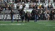 University Of Colorado Coloradobuffaloes GIF by CUBoulder