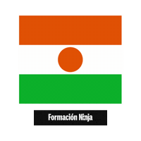 Niger Flag Sticker by Formación Ninja