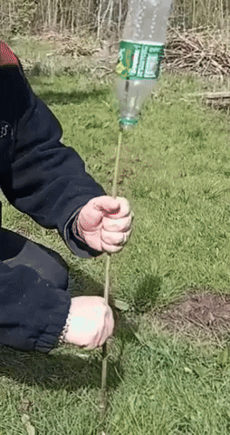 comment-economiser giphyupload GIF