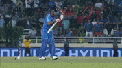 India Dhoni GIF by Amarillo College