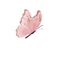 arianaraizer butterfly borboleta simples ariana raizer Sticker