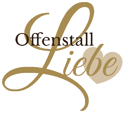 Horse Reiten Sticker by Reitkunstzentrum Südbaden