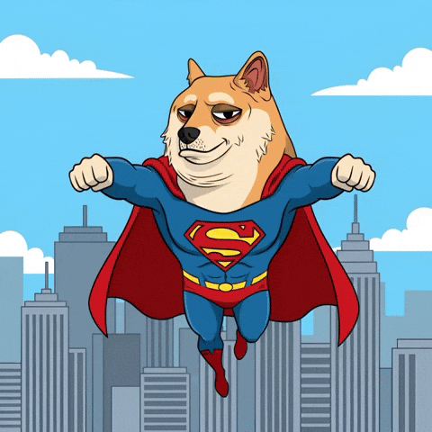 City Flying GIF by Doge Pound