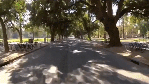 s1cn1c giphyupload ucdavis bike ride uc davis GIF