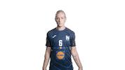 Sport-UnionNeckarsulm handball handball damen neckarsulm sunhandball Sticker
