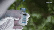 viceland GIF by Hamilton's Pharmacopeia