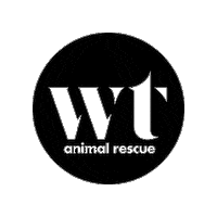 wolftrapanimalrescue cats dogs pets puppies Sticker