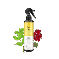 Summer Spray Sticker by Beauty by Earth