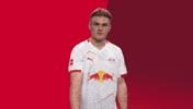 Football Celebration GIF by RB Leipzig