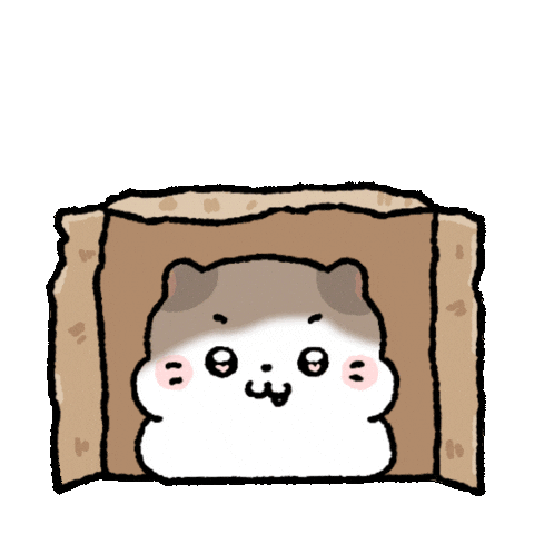 coconyangofficial giphyupload 고양이 conyang 코코냥 Sticker