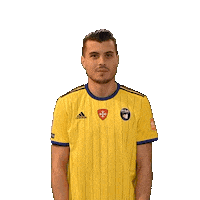 Degidio Sticker by 21BE