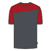 Clothing Shirt Sticker by Tricorp workwear