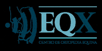 Horse GIF by EQX Centro de Ortopedia Equina