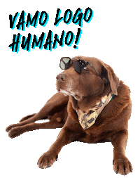 Labrador Surfdog Sticker by Bono Surf Dog