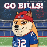 Shiba Inu Football GIF by Doge Pound