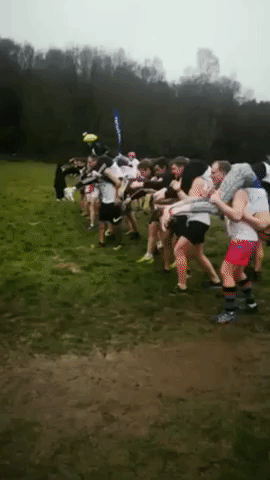 Winning Couple in Wife-Carrying Race to Make It Official After Finish-Line Proposal